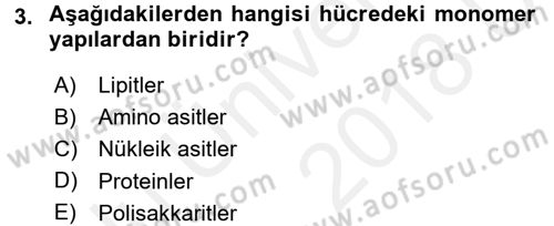 Hücre Kimyası Dersi 2017 - 2018 Yılı 3 Ders Sınav Soruları 3. Soru