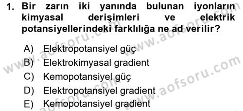 Hücre Kimyası Dersi 2017 - 2018 Yılı (Vize) Ara Sınav Soruları 1. Soru
