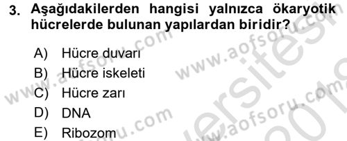 Hücre Kimyası Dersi 2017 - 2018 Yılı (Vize) Ara Sınav Soruları 3. Soru