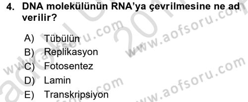 Hücre Kimyası Dersi 2017 - 2018 Yılı (Vize) Ara Sınav Soruları 4. Soru
