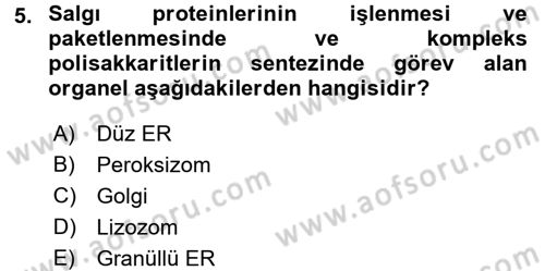 Hücre Kimyası Dersi 2017 - 2018 Yılı (Vize) Ara Sınav Soruları 5. Soru