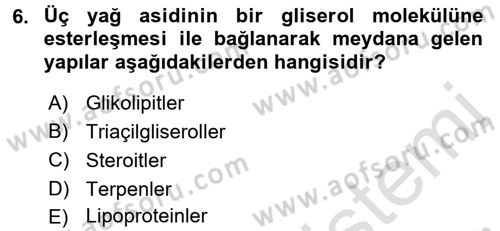 Hücre Kimyası Dersi 2017 - 2018 Yılı (Vize) Ara Sınav Soruları 6. Soru