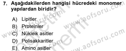 Hücre Kimyası Dersi 2017 - 2018 Yılı (Vize) Ara Sınav Soruları 7. Soru