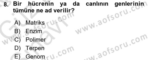 Hücre Kimyası Dersi 2017 - 2018 Yılı (Vize) Ara Sınav Soruları 8. Soru