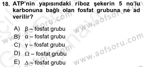 Hücre Kimyası Dersi 2017 - 2018 Yılı (Final) Dönem Sonu Sınav Soruları 18. Soru