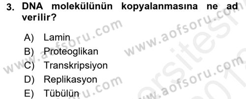 Hücre Kimyası Dersi 2017 - 2018 Yılı (Final) Dönem Sonu Sınav Soruları 3. Soru