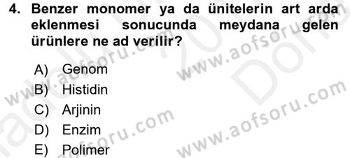 Hücre Kimyası Dersi 2017 - 2018 Yılı (Final) Dönem Sonu Sınav Soruları 4. Soru