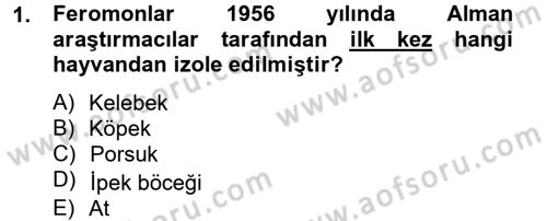 Hayvan Davranışları ve Refahı Dersi 2012 - 2013 Yılı (Final) Dönem Sonu Sınav Soruları 1. Soru