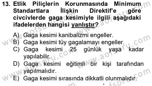 Hayvan Davranışları ve Refahı Dersi 2012 - 2013 Yılı (Final) Dönem Sonu Sınav Soruları 13. Soru