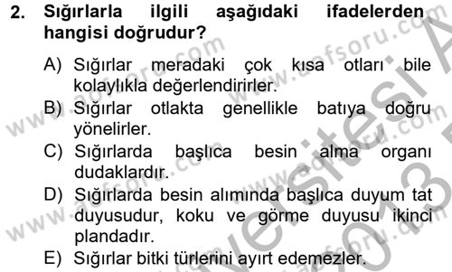 Hayvan Davranışları ve Refahı Dersi 2012 - 2013 Yılı (Final) Dönem Sonu Sınav Soruları 2. Soru