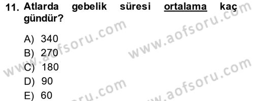 Hayvan Davranışları ve Refahı Dersi 2013 - 2014 Yılı (Vize) Ara Sınav Soruları 11. Soru