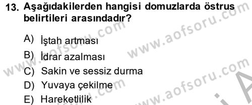 Hayvan Davranışları ve Refahı Dersi 2013 - 2014 Yılı (Vize) Ara Sınav Soruları 13. Soru