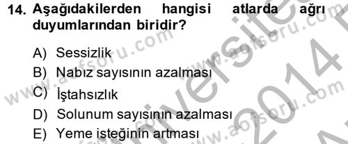 Hayvan Davranışları ve Refahı Dersi 2013 - 2014 Yılı (Vize) Ara Sınav Soruları 14. Soru
