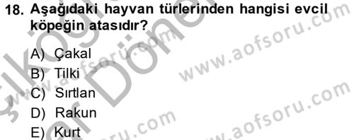 Hayvan Davranışları ve Refahı Dersi 2013 - 2014 Yılı (Vize) Ara Sınav Soruları 18. Soru