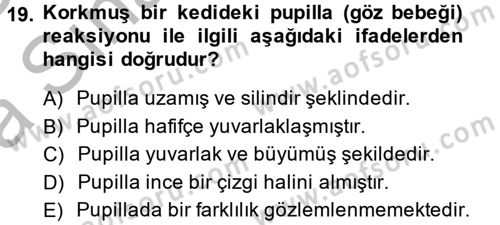 Hayvan Davranışları ve Refahı Dersi 2013 - 2014 Yılı (Vize) Ara Sınav Soruları 19. Soru