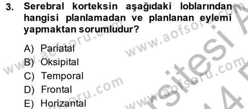 Hayvan Davranışları ve Refahı Dersi 2013 - 2014 Yılı (Vize) Ara Sınav Soruları 3. Soru