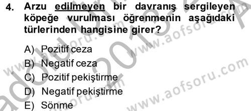 Hayvan Davranışları ve Refahı Dersi 2013 - 2014 Yılı (Vize) Ara Sınav Soruları 4. Soru