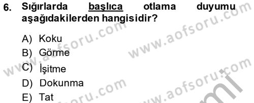 Hayvan Davranışları ve Refahı Dersi 2013 - 2014 Yılı (Vize) Ara Sınav Soruları 6. Soru