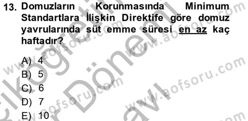 Hayvan Davranışları ve Refahı Dersi 2013 - 2014 Yılı (Final) Dönem Sonu Sınav Soruları 13. Soru