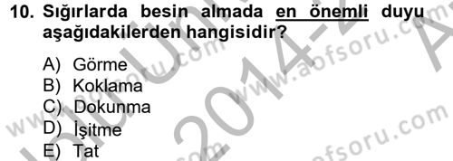 Hayvan Davranışları ve Refahı Dersi 2014 - 2015 Yılı (Vize) Ara Sınav Soruları 10. Soru