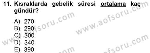 Hayvan Davranışları ve Refahı Dersi 2014 - 2015 Yılı (Vize) Ara Sınav Soruları 11. Soru