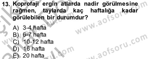 Hayvan Davranışları ve Refahı Dersi 2014 - 2015 Yılı (Vize) Ara Sınav Soruları 13. Soru