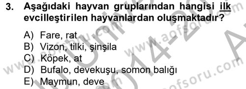 Hayvan Davranışları ve Refahı Dersi 2014 - 2015 Yılı (Vize) Ara Sınav Soruları 3. Soru