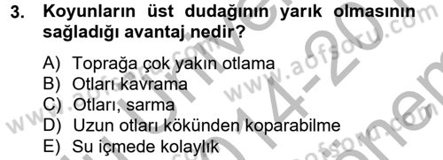 Hayvan Davranışları ve Refahı Dersi 2014 - 2015 Yılı (Final) Dönem Sonu Sınav Soruları 3. Soru