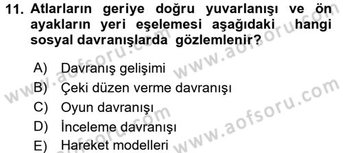 Hayvan Davranışları ve Refahı Dersi 2015 - 2016 Yılı (Vize) Ara Sınav Soruları 11. Soru