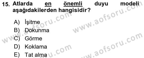 Hayvan Davranışları ve Refahı Dersi 2015 - 2016 Yılı (Vize) Ara Sınav Soruları 15. Soru