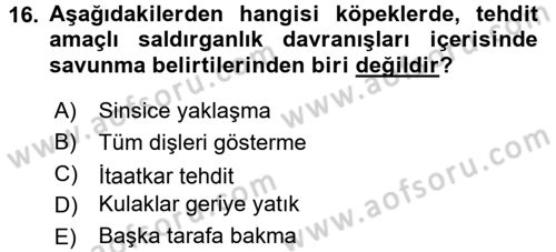 Hayvan Davranışları ve Refahı Dersi 2015 - 2016 Yılı (Vize) Ara Sınav Soruları 16. Soru