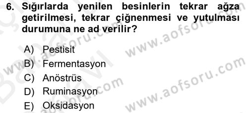 Hayvan Davranışları ve Refahı Dersi 2015 - 2016 Yılı (Vize) Ara Sınav Soruları 6. Soru