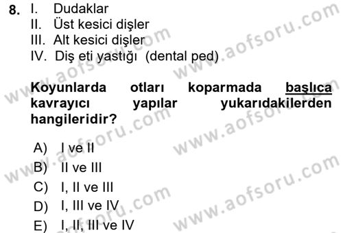Hayvan Davranışları ve Refahı Dersi 2015 - 2016 Yılı (Vize) Ara Sınav Soruları 8. Soru