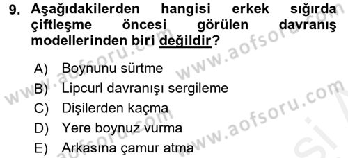 Hayvan Davranışları ve Refahı Dersi 2015 - 2016 Yılı (Vize) Ara Sınav Soruları 9. Soru