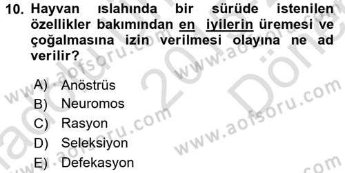 Hayvan Davranışları ve Refahı Dersi 2015 - 2016 Yılı (Final) Dönem Sonu Sınav Soruları 10. Soru
