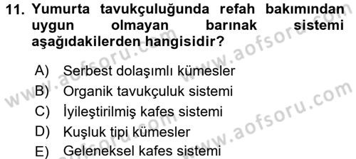 Hayvan Davranışları ve Refahı Dersi 2015 - 2016 Yılı (Final) Dönem Sonu Sınav Soruları 11. Soru