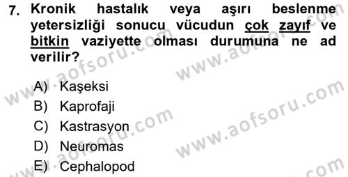 Hayvan Davranışları ve Refahı Dersi 2015 - 2016 Yılı (Final) Dönem Sonu Sınav Soruları 7. Soru