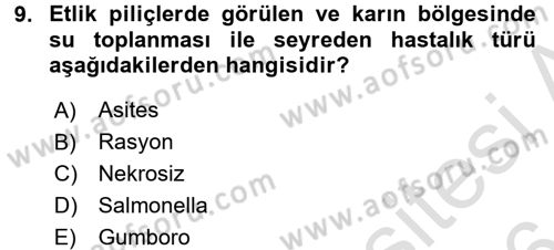 Hayvan Davranışları ve Refahı Dersi 2015 - 2016 Yılı (Final) Dönem Sonu Sınav Soruları 9. Soru