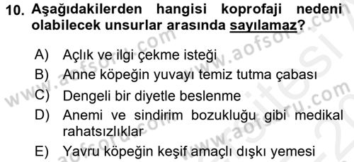 Hayvan Davranışları ve Refahı Dersi 2015 - 2016 Yılı Tek Ders Sınav Soruları 10. Soru