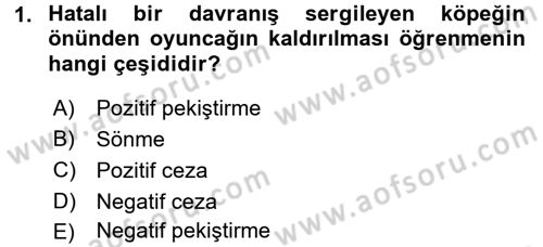 Hayvan Davranışları ve Refahı Dersi 2016 - 2017 Yılı 3 Ders Sınav Soruları 1. Soru