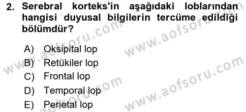 Hayvan Davranışları ve Refahı Dersi 2016 - 2017 Yılı 3 Ders Sınav Soruları 2. Soru