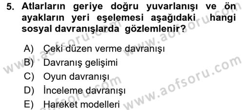 Hayvan Davranışları ve Refahı Dersi 2016 - 2017 Yılı 3 Ders Sınav Soruları 5. Soru