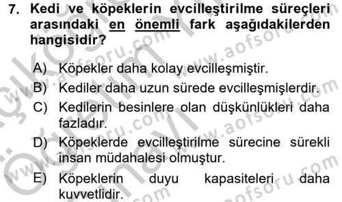 Hayvan Davranışları ve Refahı Dersi 2016 - 2017 Yılı 3 Ders Sınav Soruları 7. Soru