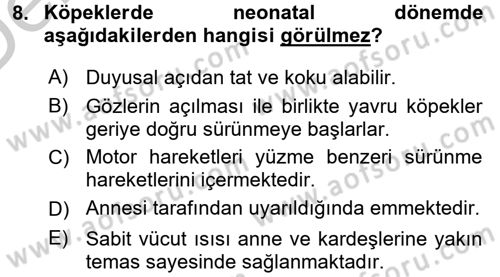 Hayvan Davranışları ve Refahı Dersi 2016 - 2017 Yılı 3 Ders Sınav Soruları 8. Soru