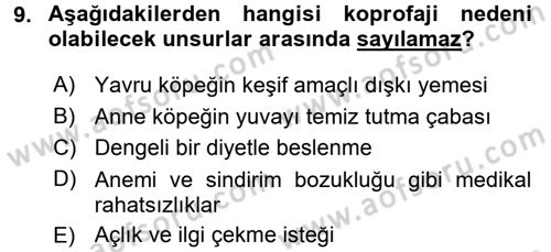 Hayvan Davranışları ve Refahı Dersi 2016 - 2017 Yılı 3 Ders Sınav Soruları 9. Soru