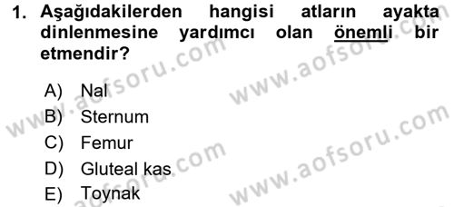 Hayvan Davranışları ve Refahı Dersi 2016 - 2017 Yılı (Vize) Ara Sınav Soruları 1. Soru
