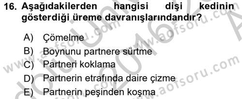 Hayvan Davranışları ve Refahı Dersi 2016 - 2017 Yılı (Vize) Ara Sınav Soruları 16. Soru