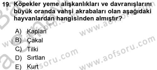 Hayvan Davranışları ve Refahı Dersi 2016 - 2017 Yılı (Vize) Ara Sınav Soruları 19. Soru