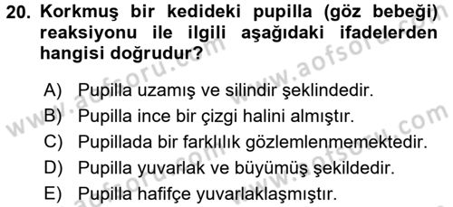 Hayvan Davranışları ve Refahı Dersi 2016 - 2017 Yılı (Vize) Ara Sınav Soruları 20. Soru