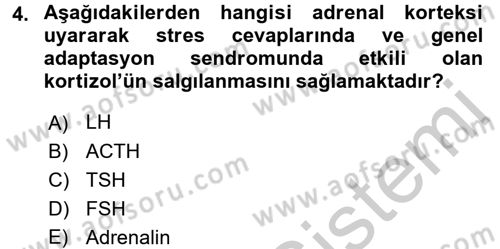 Hayvan Davranışları ve Refahı Dersi 2016 - 2017 Yılı (Vize) Ara Sınav Soruları 4. Soru